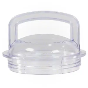 Pentair Pump Lid 355301